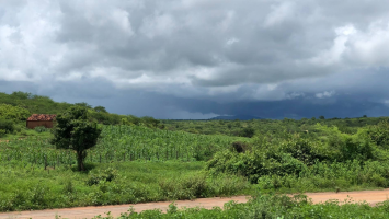 Ceará tem chuva em mais de 140 municípios nesta quinta (2); veja previsão para feriadão da Semana Santa